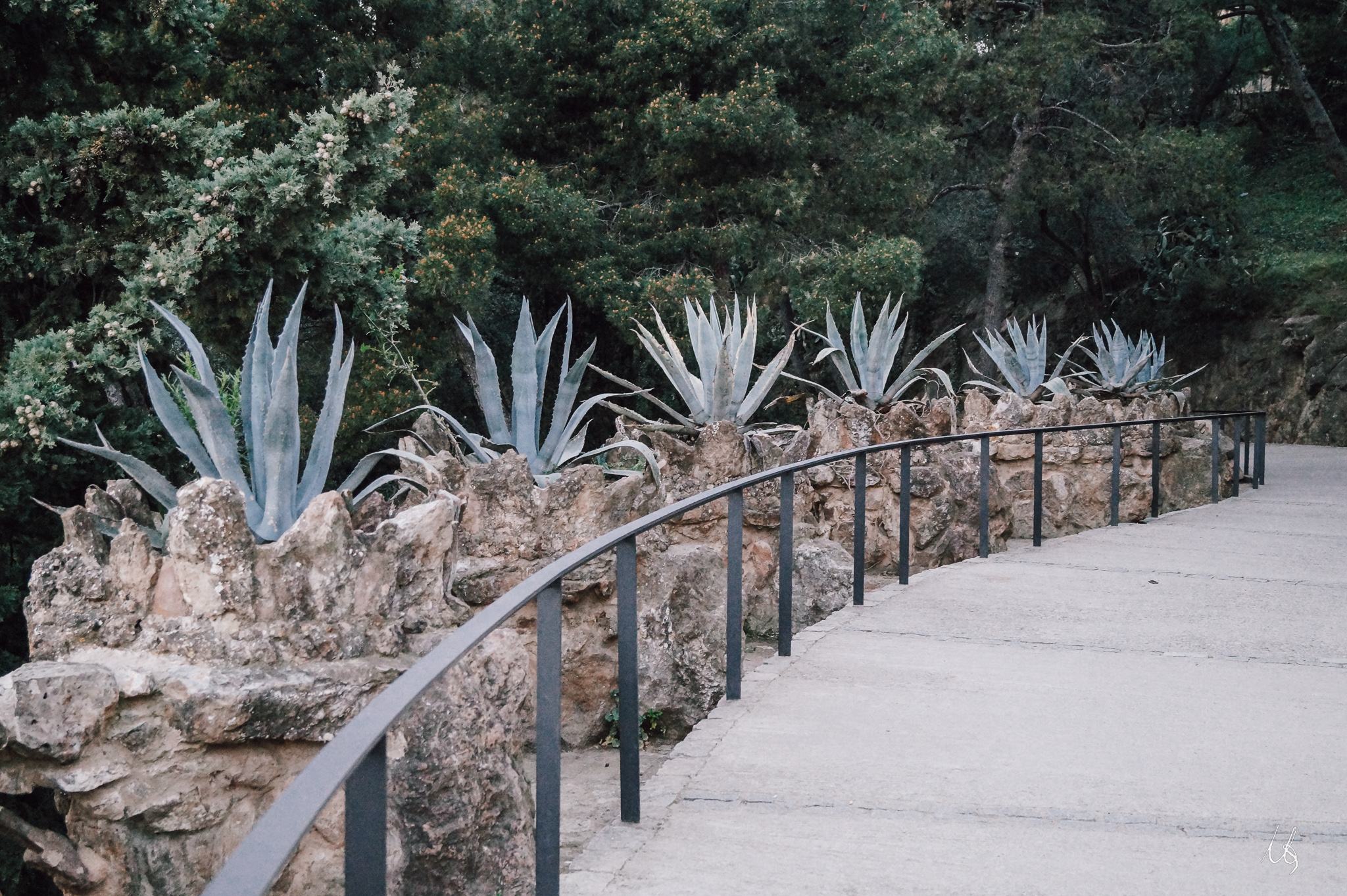 Mediterrane Pflanzen an einer steinernen Treppe